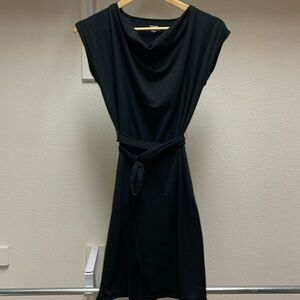 Icebreaker superfinelite merino wool dress